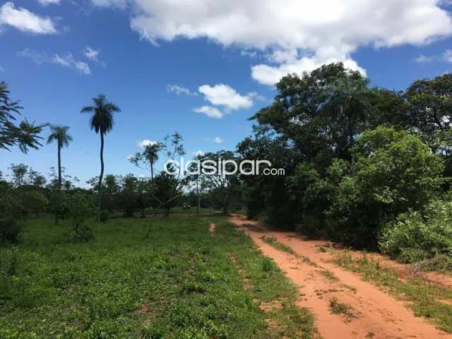 En Venta Terreno de 2 Hectáreas en Itagua V161, foto 2