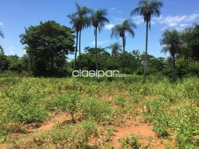 En Venta Terreno de 2 Hectáreas en Itagua V161, foto 5