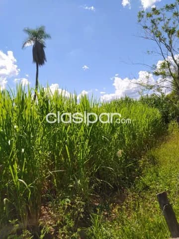 Concepcion - zona cuero fresco - agricola / ganadero, foto 4