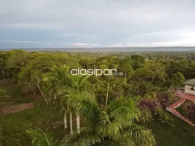 De regalo impresionante terreno en tarumandy, Luque...!!! — foto 3