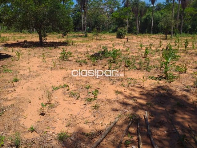 Terreno en ypane cod 2637