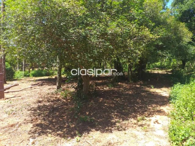 Terreno en ypane cod 2637, foto 3
