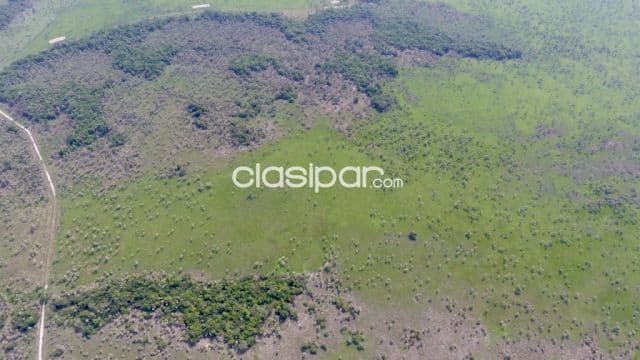 Campo Agrícola/Ganadero en Benjamín Aceval - 257 Ha — foto 1
