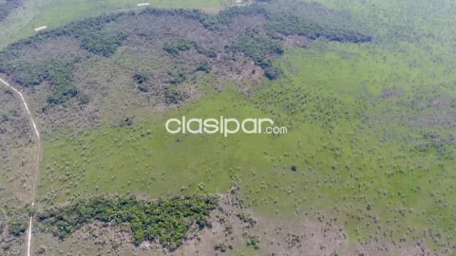 Campo Agrícola/Ganadero en Benjamín Aceval - 257 Ha — foto 2