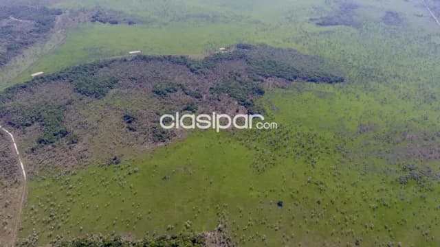 Campo Agrícola/Ganadero en Benjamín Aceval - 257 Ha — foto 4