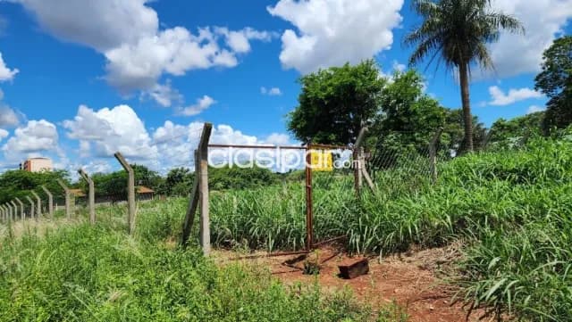 Terreno de gran potencial en venta zona Km 8 Monday — foto 5