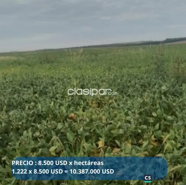 Santa rita – alto paraná: 1.222 haectareas, tierra mixta ideal p/ agricultura, foto 3