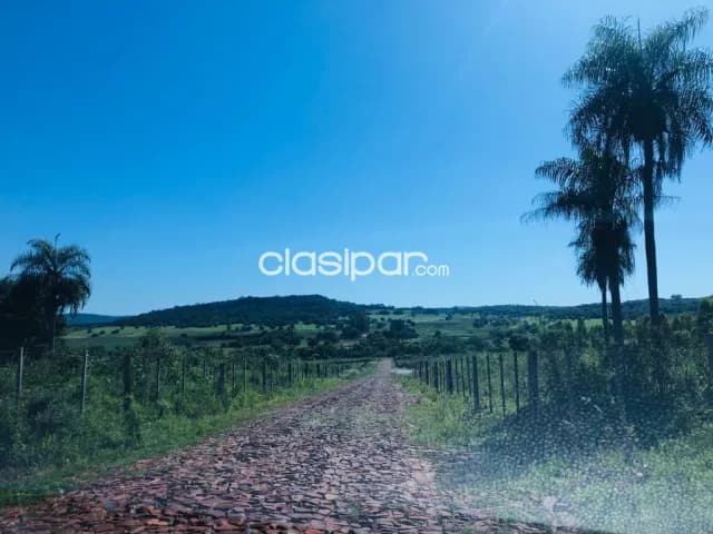Campo Agrícola/Ganadero en Jesús - 615 Ha, foto 5