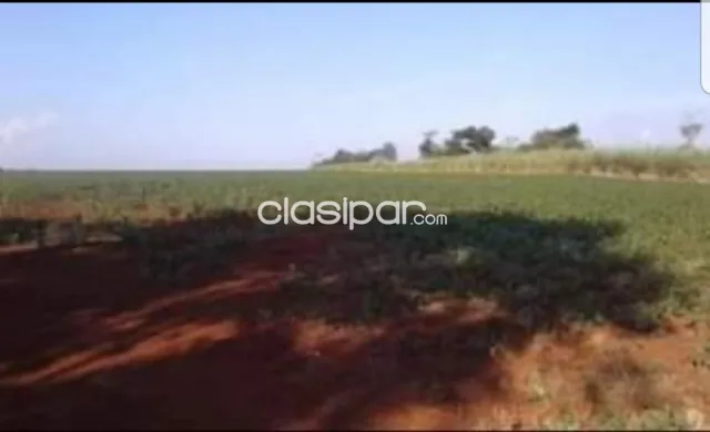 Campo Agrícola/Ganadero en Minga Guazú costa al Río Acaray - 142 Ha, foto 4