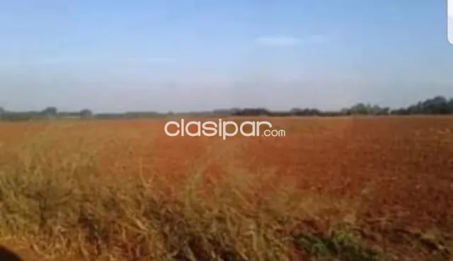 Campo Agrícola/Ganadero en Minga Guazú costa al Río Acaray - 142 Ha, foto 5