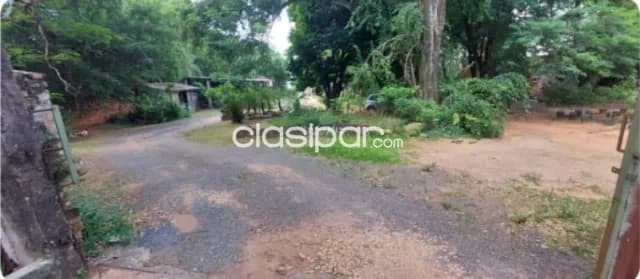 Villeta s/ asfalto: Inmejorables 4 has, suelo alto, p/ desarrollos inmobiliarios, foto 2