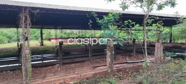 Piribebuy cordillera: Inmejorables 2 has + tinglados + cerámica, utilización multiuso, foto 4