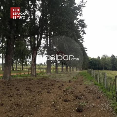 Atyra prox. Pueblo: 19 inmejorables has, ideal p/ loteamiento, desarrollos inmobiliarios — foto 3