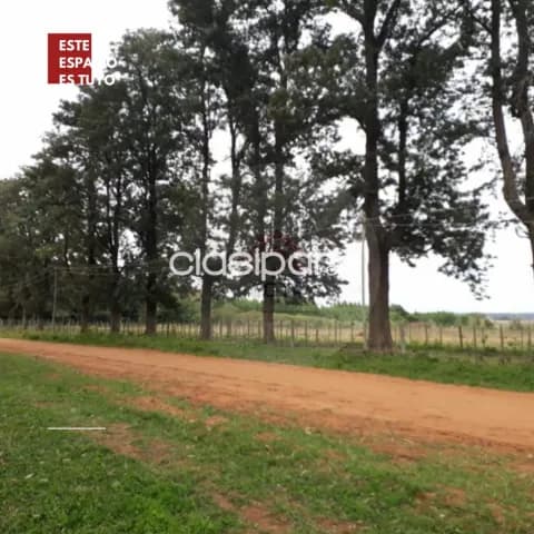 Atyra prox. Pueblo: 19 inmejorables has, ideal p/ loteamiento, desarrollos inmobiliarios — foto 4
