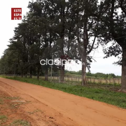 Atyra prox. Pueblo: 19 inmejorables has, ideal p/ loteamiento, desarrollos inmobiliarios — foto 5