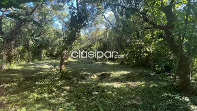 Amplio terreno en San Bernardino, foto 2