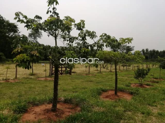En venta Terrenos en Atyra. Lugar alto, arbolado, con todos los servicios, foto 3