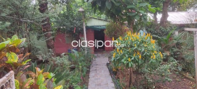 Residencia c9 con hermoso jardin en barrio san jorge de dr juan eulogio estigarribia, foto 1