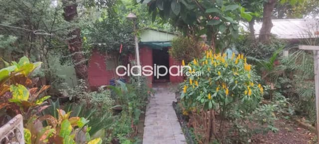 Residencia c9 con hermoso jardin en barrio san jorge de dr juan eulogio estigarribia, foto 2