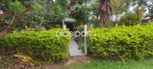 Residencia c9 con hermoso jardin en barrio san jorge de dr juan eulogio estigarribia, foto 3