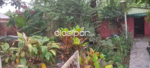 Residencia c9 con hermoso jardin en barrio san jorge de dr juan eulogio estigarribia, foto 4