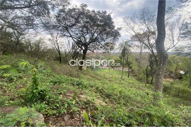 Terreno - Venta - Paraguay Cordillera San Bernardino Amplio Terreno céntrico sobre Avenida — foto 3