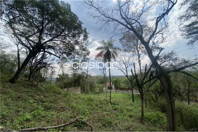 Terreno - Venta - Paraguay Cordillera San Bernardino Amplio Terreno céntrico sobre Avenida — foto 4
