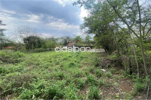 Terreno - Venta - Paraguay Cordillera San Bernardino Amplio Terreno céntrico sobre Avenida — foto 5