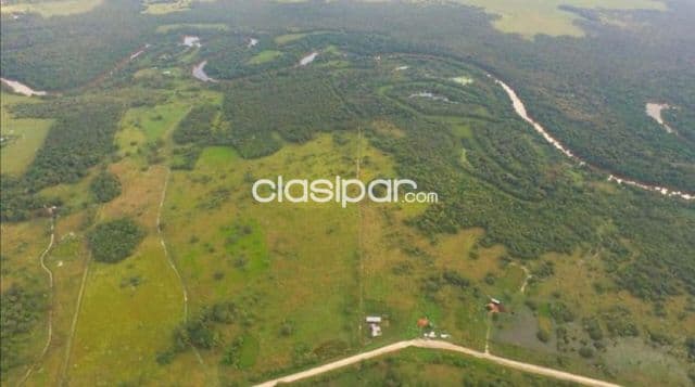Campo Ganadero en Chaco-i sobre Ruta 12 - 60 Ha