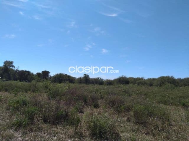 Campo Ganadero en Villa Hayes sobre Ruta Ñ - 770 Ha — foto 1