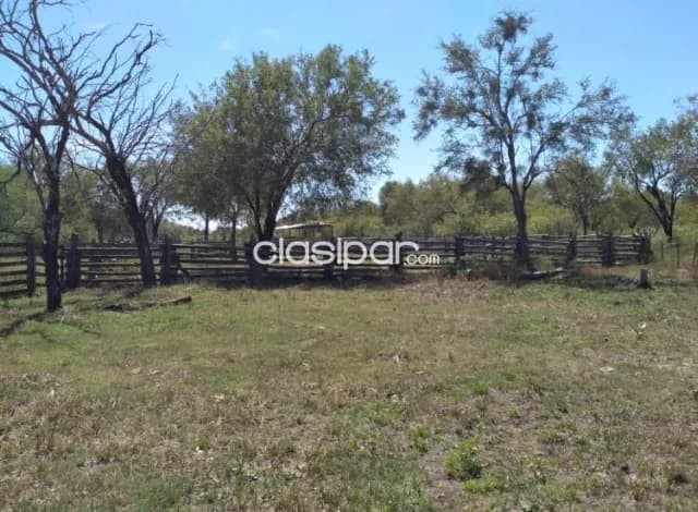 Campo Ganadero en Villa Hayes sobre Ruta Ñ - 770 Ha — foto 4
