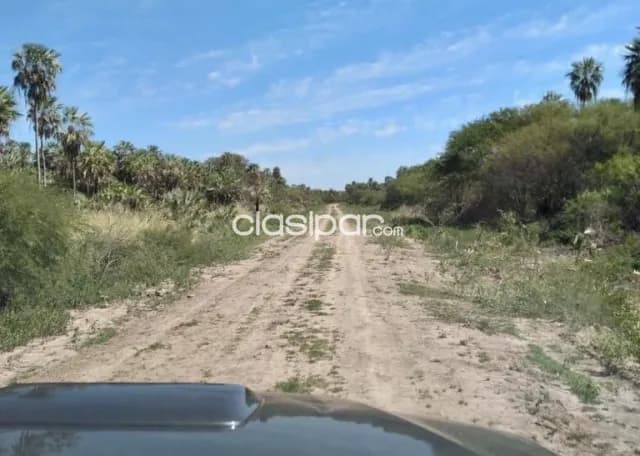 Campo Ganadero en Villa Hayes sobre Ruta Ñ - 770 Ha — foto 5