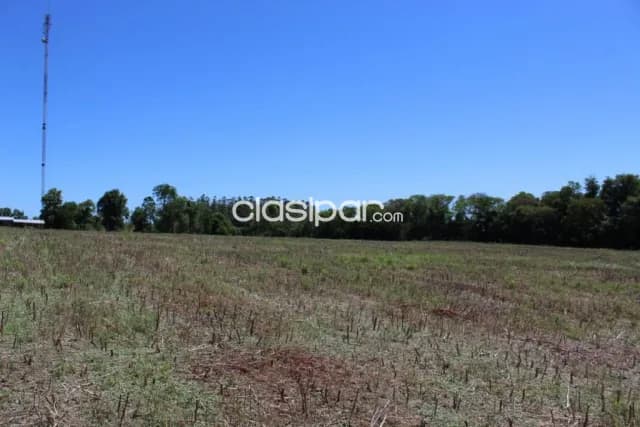 Terreno Rural en San Rafael del Paraná - 13 Ha — foto 2