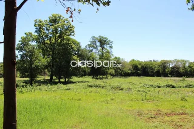 Terreno Rural en San Rafael del Paraná - 13 Ha — foto 5