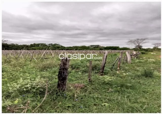 Pirayu – yaguaron s/ ruta afalt: Maravillosas 57 has p/ desarrollos inmobiliarios mixtos — foto 5