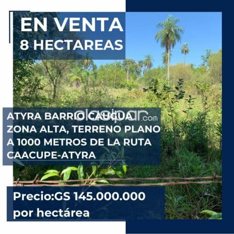 Atyrá – cordillera: 8 has, terreno alto y plano, ubicación ideal, 145.000.000 gs/ha — foto 1