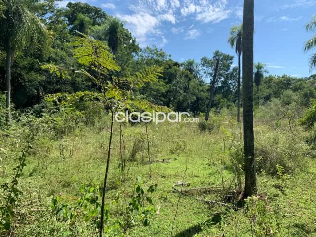 Atyrá – cordillera: 8 has, terreno alto y plano, ubicación ideal, 145.000.000 gs/ha — foto 5