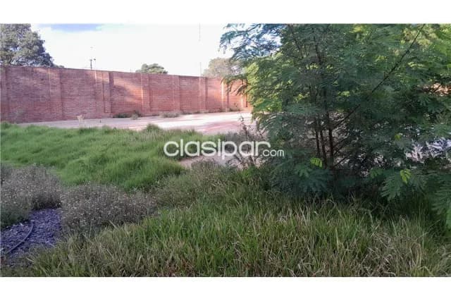 Terreno en villa aurelia a mtrs de mcal lopez sin limite de altura, foto 4