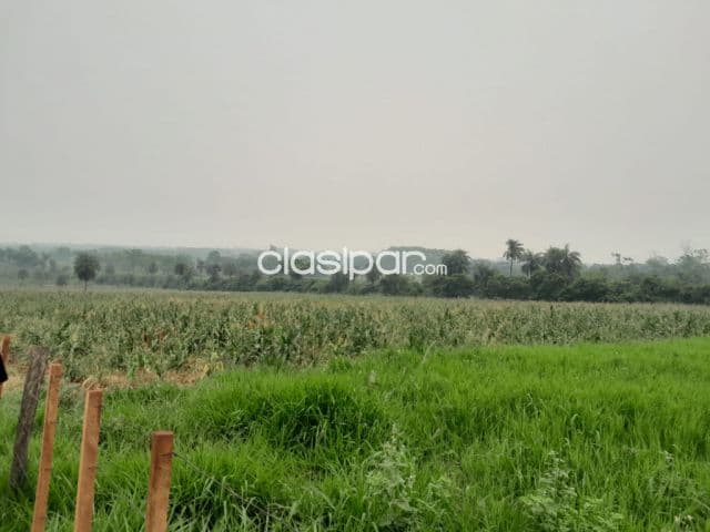 Campo Agrícola/Ganadero en Santani - 65 Ha