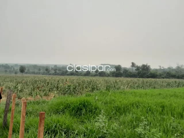 Campo Agrícola/Ganadero en Santani - 65 Ha — foto 2