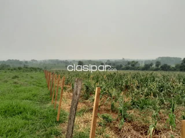 Campo Agrícola/Ganadero en Santani - 65 Ha — foto 5