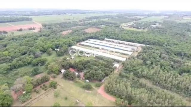 Arroyos y esteros: 27 has, granja avicola modelo en venta, en funcionamiento — foto 3