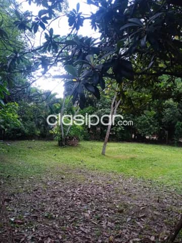 Hermosa y amplia propiedad piquete cué limpio — foto 5