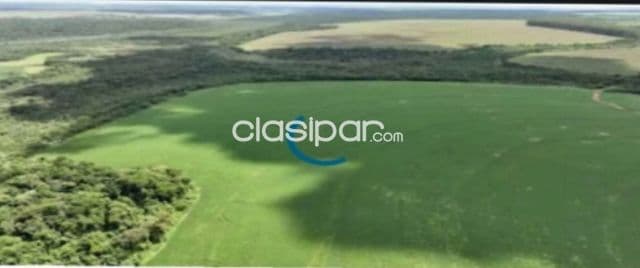 Santa rita: 1.2230 has, tierra roja premium, mecanizada + pasturas, 8.500 usd/ha