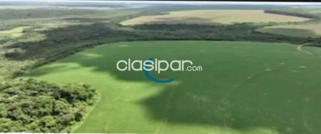Santa rita: 1.2230 has, tierra roja premium, mecanizada + pasturas, 8.500 usd/ha — foto 2