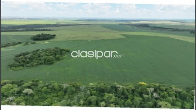Santa rita: 1.2230 has, tierra roja premium, mecanizada + pasturas, 8.500 usd/ha — foto 3