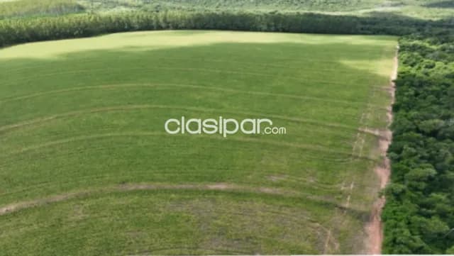 Santa rita: 1.2230 has, tierra roja premium, mecanizada + pasturas, 8.500 usd/ha — foto 4