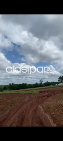 E/ tavapy y santa rita: 1.080 has, tierra roja premium mecanizada, financiación propia — foto 3