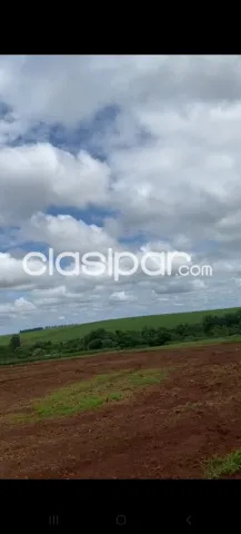 E/ tavapy y santa rita: 1.080 has, tierra roja premium mecanizada, financiación propia — foto 4