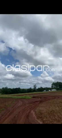 E/ tavapy y santa rita: 1.080 has, tierra roja premium mecanizada, financiación propia — foto 5